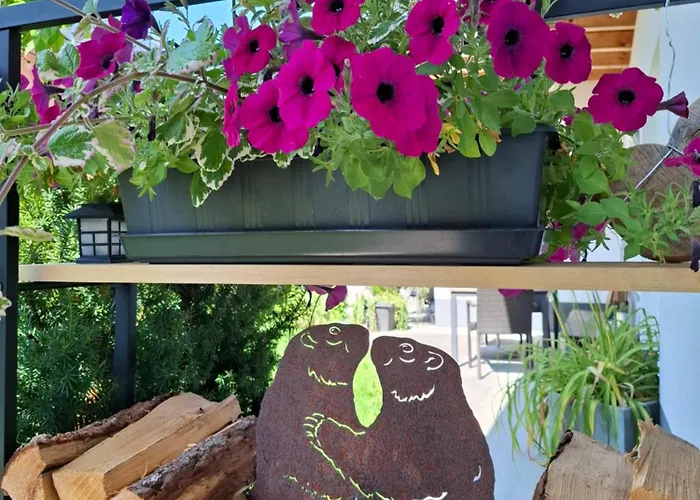 莱赫特朗姆公寓 * 施坦察赫